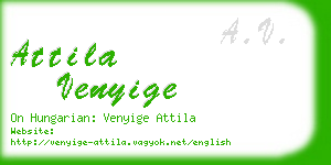 attila venyige business card